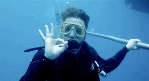 Scuba Diving Burnie Vlog  By Rooster Teeth Find And Share On Giphy