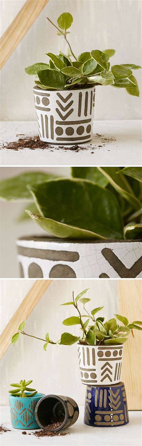 Urban outfitters is trading at 22x projected fiscal 2022 earnings and 17.9x projected fiscal 2023 earnings. 71 best Garden: Plant Types images on Pinterest ...