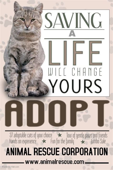 Pet Adoption Flyer Template Or Social Media Template Pet Adoption