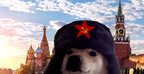 Russian Dog Meme That You Not Gonna Use Blank Template Imgflip