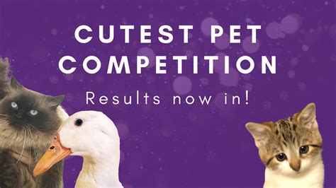 Hasoptimizations 2021 Cutest Pet Competition Winner