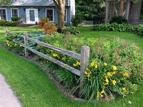 Rails placed narrow side up sag the least and are recommended for heavy fences and those with posts that are 6 feet or more apart. Split-rail fence, stella d'oro daylilies and spirea in the ...