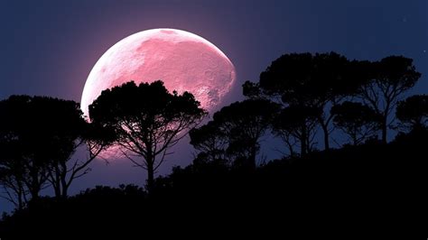 Aprils Full Pink Moon Will Arrive Overnight Friday Wsbt
