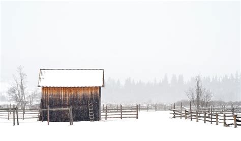 Free Images Snow Winter Barn Cabin Weather Ladder 3733x2190