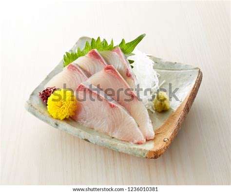 Young Japanese Amberjack Young Yellowtail Fish Stock Photo Edit Now