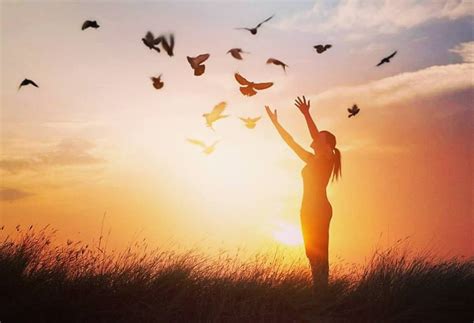 How To Reclaim Your Freedom In This Life What How Why Awaken And Reclaim Your Freedom