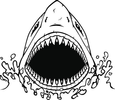 Free 336 Shark Mouth Open Svg Svg Png Eps Dxf File
