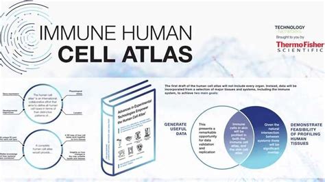 Immune Cell Atlas Infographic Technology Networks