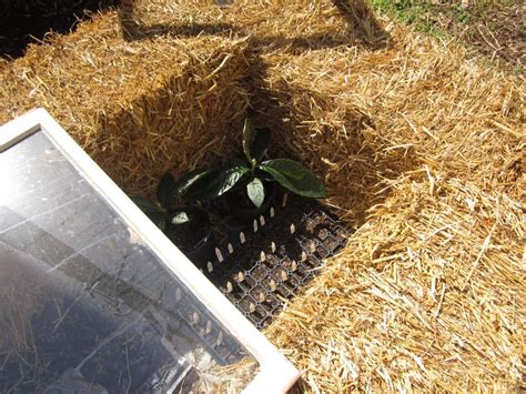 How To Build An Inexpensive Cold Frame In Under 30 Minutes With No