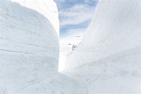 Road And Snow Wall At Japan Alps Tateyama Kurobe Alpine Ro Stock Photo