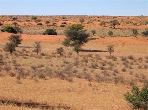Kalahari Desert Facts 