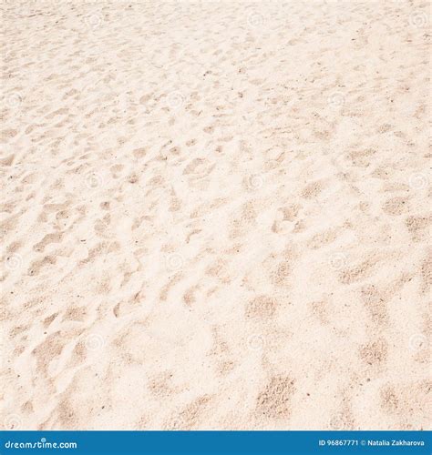 Beach Sand As Background White Sandy Texture Stock Image Image Of
