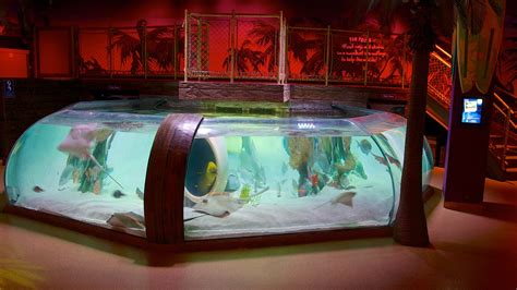 Sea Life Aquarium In Kansas City Expediaca