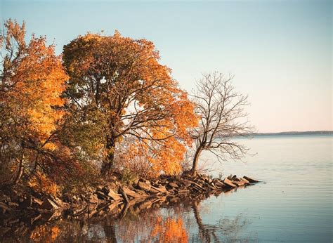 Chesapeake Bay Photography Farmhouse Decor Autumn Decor Etsy