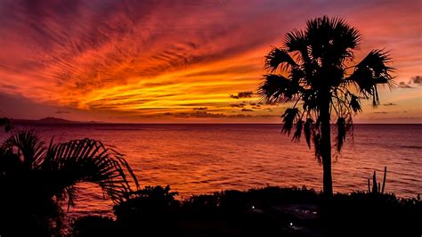 Colorful Sunset Palm Trees Ocean Horizon Romantic Sunset Wallpapers Hd ...