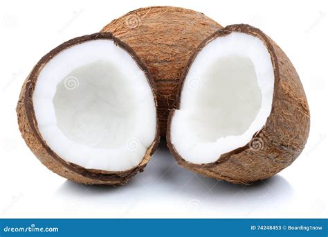 Coconut With Coconuts Palm Tree Leaf Isolated On A White Background