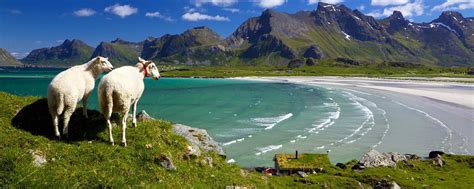 Travel To Norway Discover Norway With Easyvoyage