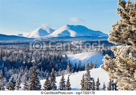 Taiga Winter Snow Landscape Yukon Territory Canada Snowy Boreal Forest