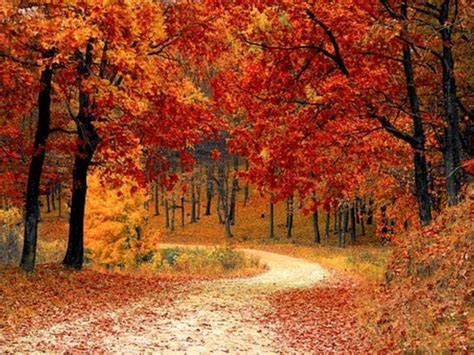Fall Foliage 2017 Best Time To See Leaves Change In Maryland