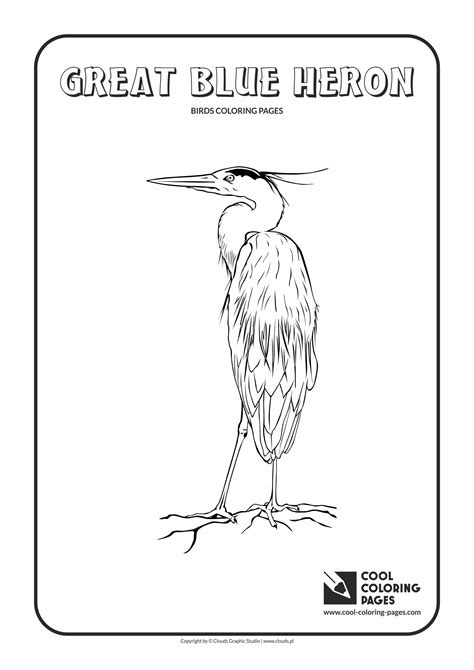 Cool Coloring Pages Birds coloring pages - Cool Coloring Pages | Free educational coloring pages 