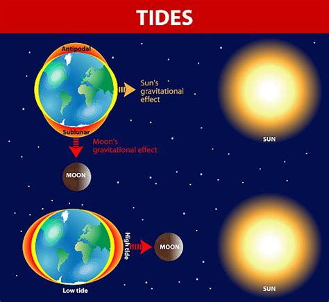 Formation Of Tides Geography Notes