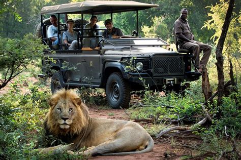 A Safari Tour Guide Uganda Safaris Tour Guide Uganda Tours
