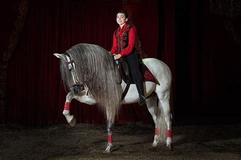 Modelle vom zirkus knie zu verkaufen. Circus Knie - Bilder