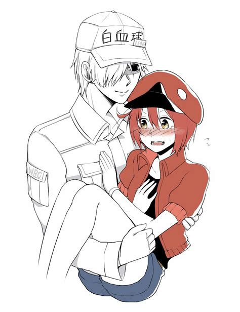 Cells At Work White Blood Cell X Red Blood Cell Anime Couples Cute
