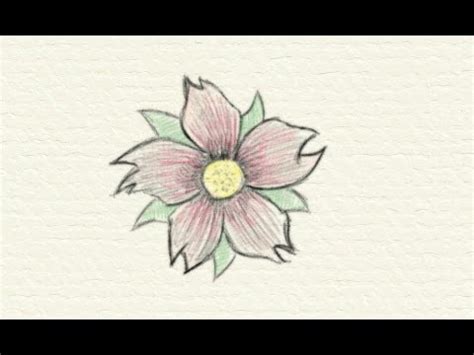 How to draw a flower step by step in 6 minutes! How to Draw a Flower - YouTube