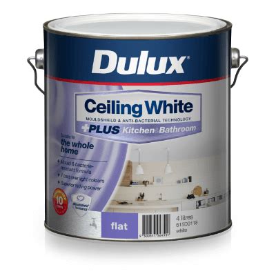 Additionally, drop ceiling tiles are easy to clean and mold resistant. Mould Resistant Paint For Bathroom Ceiling - Home Sweet ...