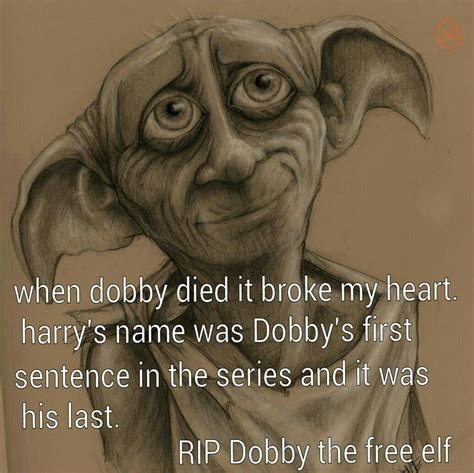 Dobby He Was The Best Part Of The Entire Series Harry Potter Love