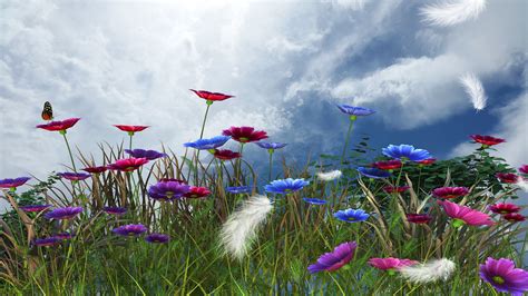 Astrology Podcast: April 20 to May 20 2019 - Sally Kirkman