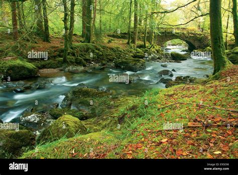 The River Croe Ardgartan The Argyll Forest Park Stock Photo Alamy