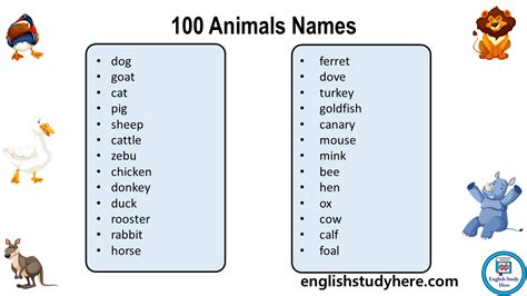 100 Animals Names Animals Names List English Study Here