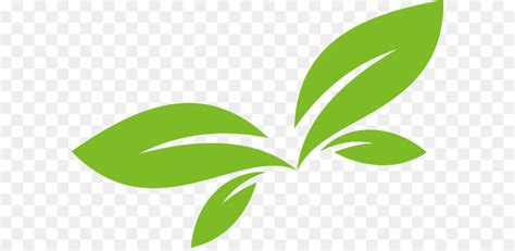 Circle Leaf Logo Design Shefalitayal