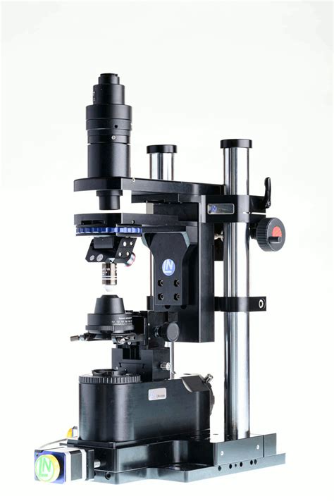 Electrophysiology Microscope Luigs And Neumann