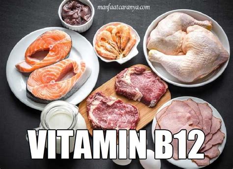 √ Manfaat Vitamin B12 Dan Contoh Sumbernya Manfaatcaranyacom
