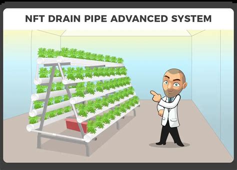 How To Grow Weed Using Nutrient Film Technique Nft I Love Growing