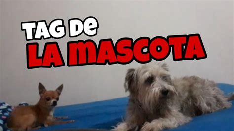 Tag De La Mascota Youtube