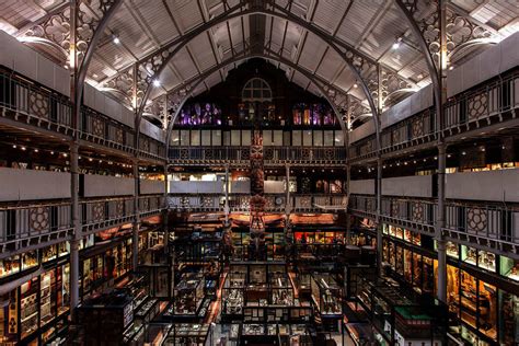 Pitt Rivers Museum Soraa