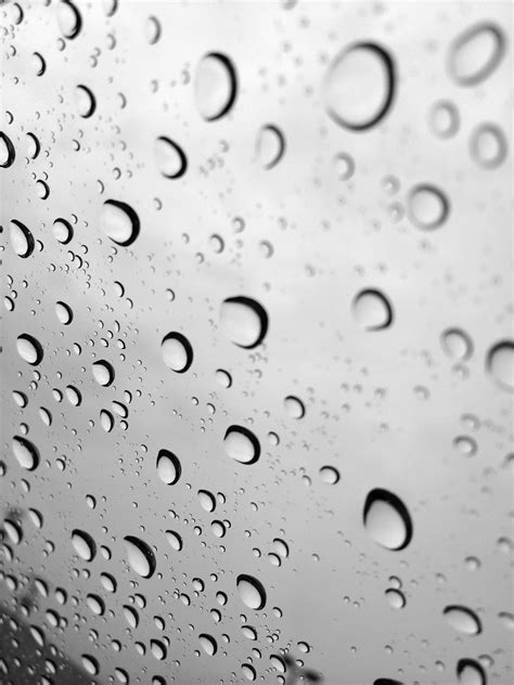 Free Images Drop Black And White Rain Petal Window Glass