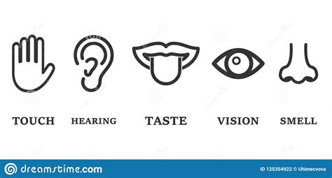 Icon Set Of Five Human Senses Vision Eye Smell Nose Hearing Ear