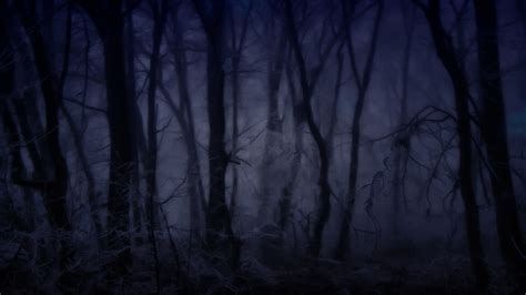 Creepy Forest Wallpapers 4k Hd Creepy Forest Backgrounds On Wallpaperbat