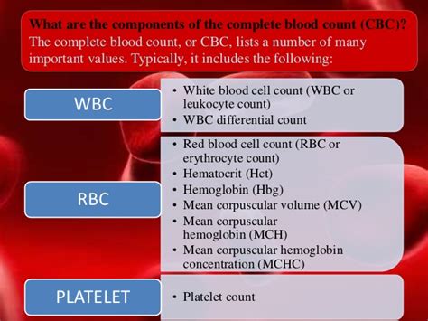 What Does An Elevated Wbc Count Indicate