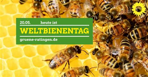 #bees #beeillustration #bienen #worldbeeday #weltbienentag #childrensbookillustration #childrensbookillustrations want to see more posts tagged #weltbienentag? Weltbienentag: - BÜNDNIS 90/DIE GRÜNEN RATINGENBÜNDNIS 90 ...