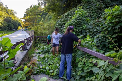 First Kudzu Removal Hike of 2020 - Chattooga Conservancy