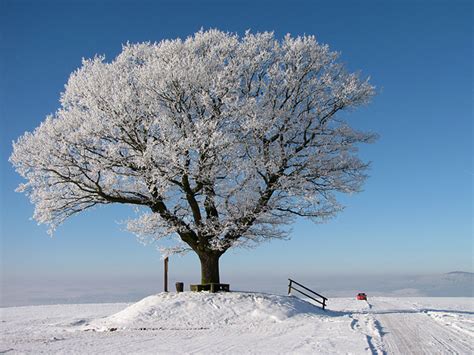 Winter is one of the four earth's seasons, that goes after autumn and foreshadows spring. What Happens During Winter Season at Lightning Landscape