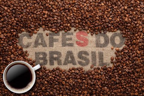 We did not find results for: Your Map to Great Coffee Drinking