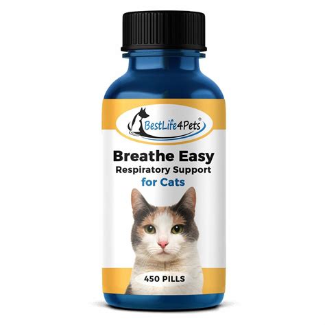 Homeopathic Remedy For Cat With Fever