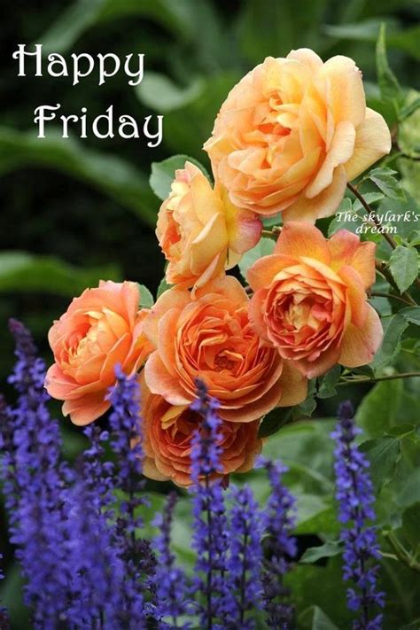 Happy Friday -- Flowers :: Friday :: MyNiceProfile.com